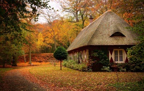 Secluded cabin in most of the autumn forest
