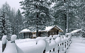 Wooden house in winter forest more often