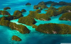 Forested island in the blue water