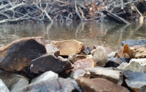 The stones on the river bank