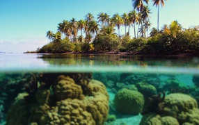 Прозрачная вода у берегов тропического острова