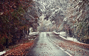 Meeting of winter and autumn by the roadside