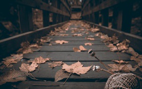Autumn leaves on a wooden bridge