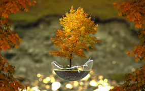 Осеннее дерево бонсай