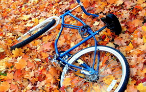 The bike in the fall leaves