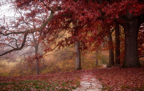 	   Stone road in an autumn garden