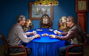 Playing poker with dogs