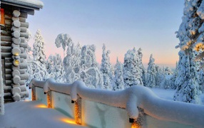 Beauty of winter in the village