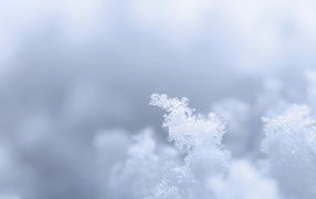 Crystals of snow on gray background