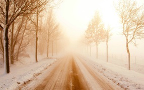 Fog on winter road