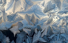 Frost draws patterns on glass