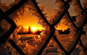 Frost on the iron lattice