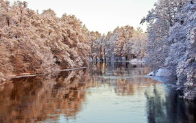 Frosted trees over water river