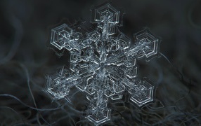 Photo snowflakes closeup