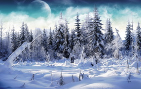Planet over the snow-covered forest
