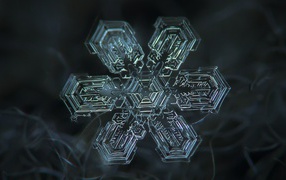 The unique structure of snowflakes
