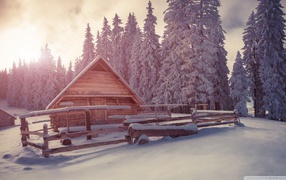 Wooden house in winter forest