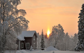 Wooden house in winter forest at sunset
