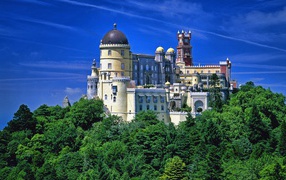 Fairy-tale castle on a hill among the trees