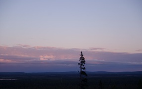 Северная природа Финляндии