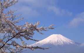 Белая вершина горы Фудзияма