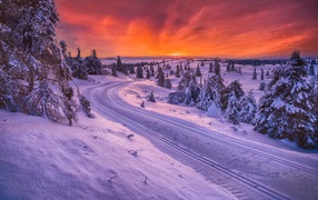 Зимняя дорога в Норвегии