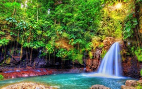 Waterfall in the jungle island of Guadeloupe