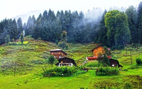 Деревянные дома в горах в Турции