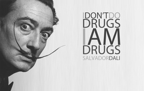 I do not do drugs, I have a drug. Salvador Dali