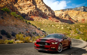 Красный спортивный автомобиль Ford Mustang Shelby 