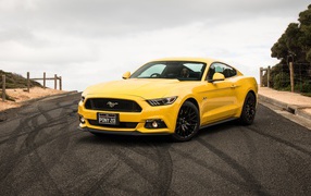 Yellow sports car Ford Mustang on the track