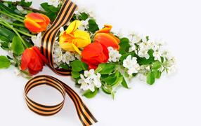 Flowers and St. George ribbon on May 9th on a white background