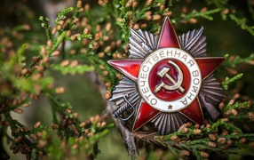 Order of the Patriotic War on Victory Day on May 9