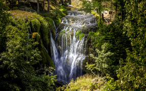 Красивый водопад стекает с утеса в лесу у покрытых зеленью деревьев
