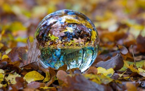 Стеклянный шар лежит на сухой желтой траве осенью