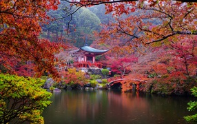 Осенний японский пейзаж у пруда