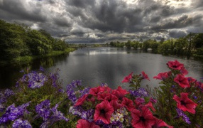 Пасмурные облака над озером с цветами на берегу 