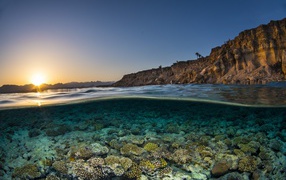 Кораллы в прозрачной морской воде в лучах солнца на рассвете