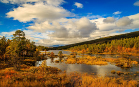 Лесное озеро с желтыми осенними деревьями на фоне неба с белыми облаками