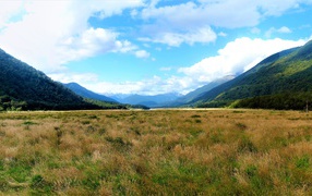Green natural expanses of New Zealand
