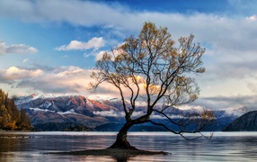 Islet with a tree in the lake against the backdrop of the mountains