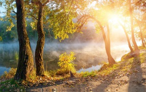 Утренний туман над рекой в лучах солнца осенью