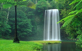 Picturesque waterfall between green trees