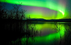The green northern lights are reflected in the water of the pond