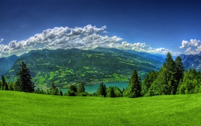 The picturesque green nature on a background of white clouds