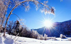 A bright winter sun