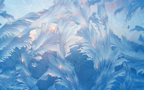Beautiful blue frosty patterns on the glass