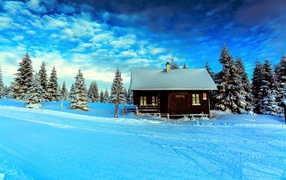 House in the forest by the snowy road under the beautiful winter sky