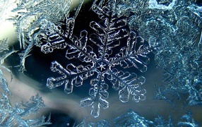 Icy snowflake closeup