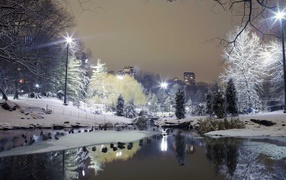 Озеро в городском парке зимой